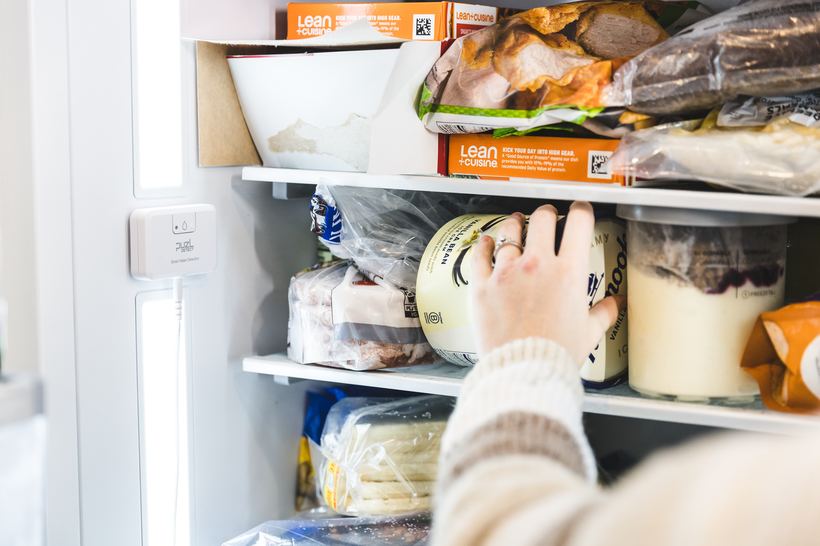 PuzL Detect mounted inside a freezer compartment
